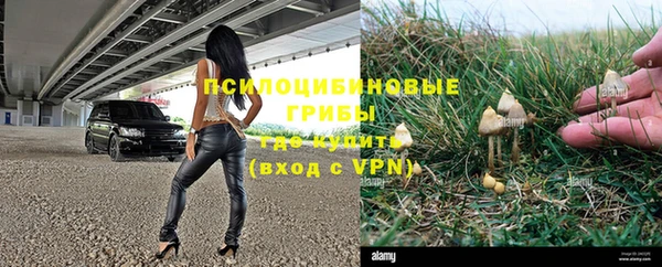 герыч Новозыбков